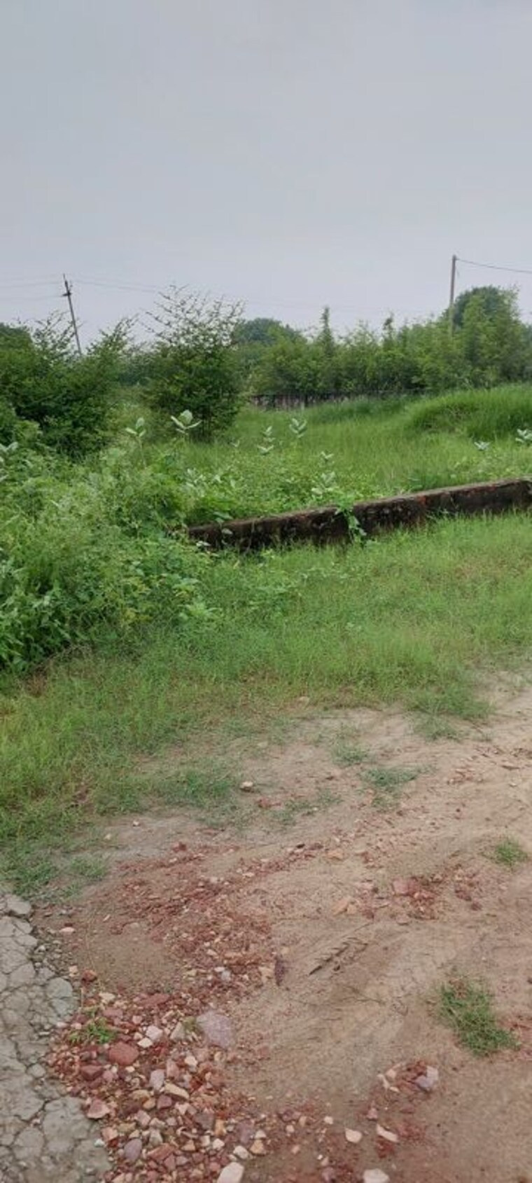 undefined, pachgain khera  100 Sq.Yd. Plot In Pachgain Khera Agra 10676236