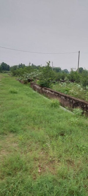Plot Area in  Plot at Pachgain Khera – for Sale