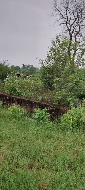 Plot Area in  Plot at Pachgain Khera – for Sale