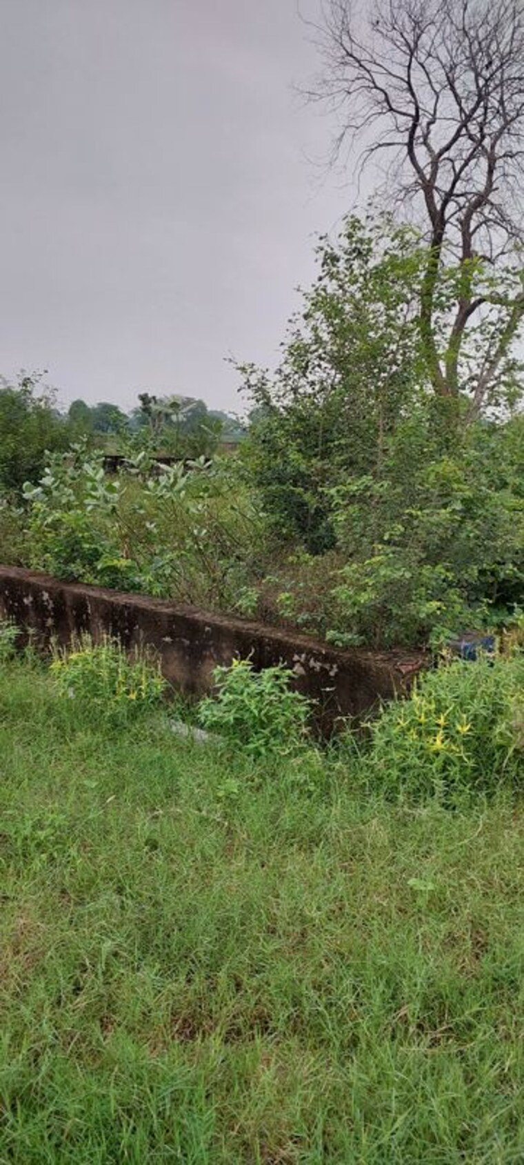 undefined, pachgain khera  100 Sq.Yd. Plot In Pachgain Khera Agra 10676236
