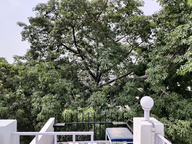 Exterior View, safdarjung enclave 1 Bedroom 725 Sq.Ft. Apartment In Safdarjung Enclave Delhi 10676271