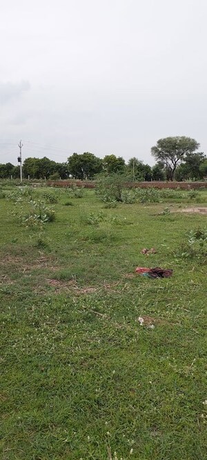 Plot Area in  Plot at Dhanauli – for Sale