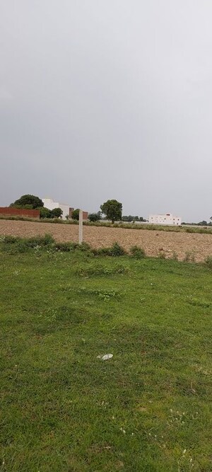 Plot Area in  Plot at Dhanauli – for Sale