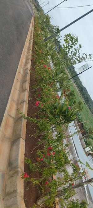  Plot – Exterior View View at Moosapet - for Sale