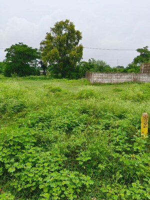  Plot For Sale in Rahu Khedi