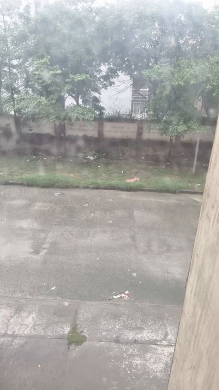 Swimming Pool, greater-noida-authority-plots 2 Bedroom 250 Sq.Mt. Villa In Sector 24 Yamuna Expressway Greater Noida 10676581