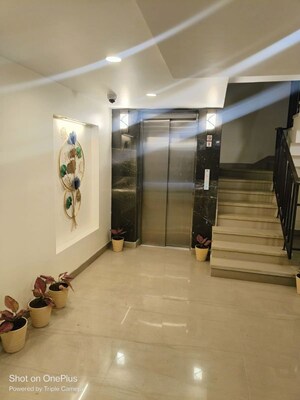 Living Room in 3 BHK Builder Floor at Greater Kailash I – for Rent