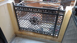 Balcony in 1 BHK Builder Floor at Vaishali Sector 3 – for Rent