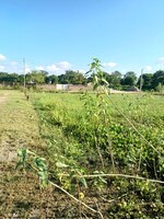 3888 Sq.Ft. Plot in Dharapur