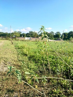  Plot For Sale in Dharapur