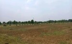 500 Sq.Ft. Plot in Sector 84