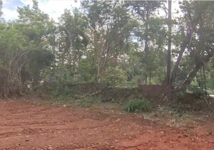 Plot Area in  Plot at Marathakkara – for Sale