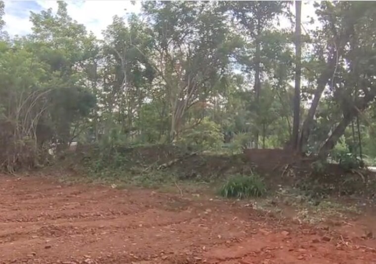 undefined, marathakkara  152460 Sq.Ft. Plot In Marathakkara Thrissur 10677038