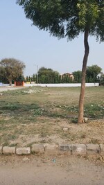 330 Sq.Yd. Plot in Sector 84