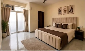 2.5 BHK +  700 Sq.Ft. Apartment in Signature Global Prime