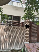 2 BHK 90 Sq.Mt. Independent House in XU 1 Greater Noida