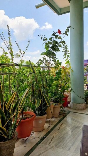 Balcony in  Pg at Vineet Khand 6 – for Rent