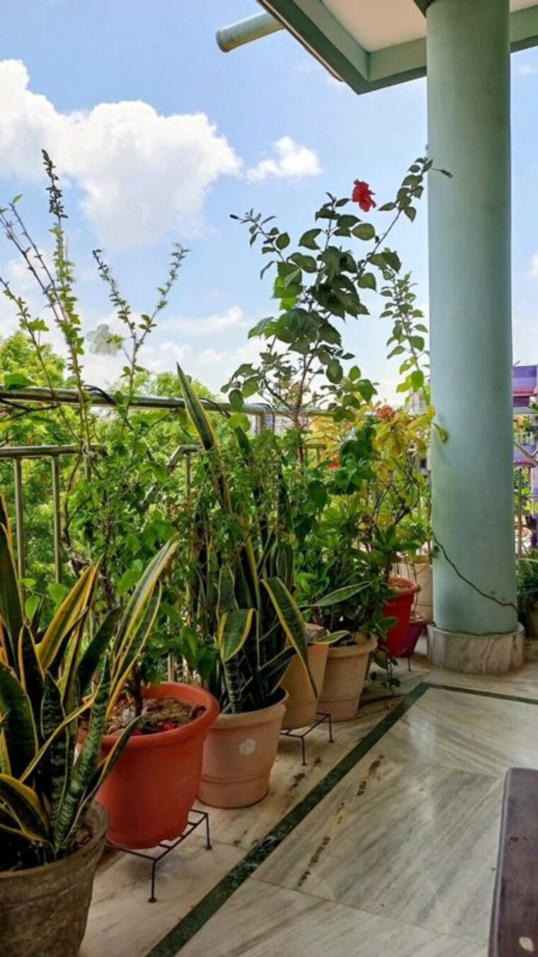 Balcony, vineet khand 6 Pg For Boys & Girls In Vineet Khand 6 10677500