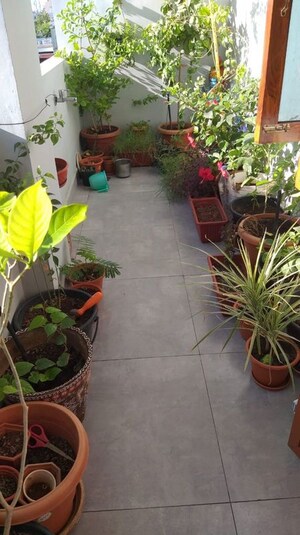 Balcony in  Pg at Vibhuti Khand – for Rent