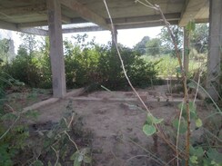 Plot For Sale in Arsha Madhav Greens