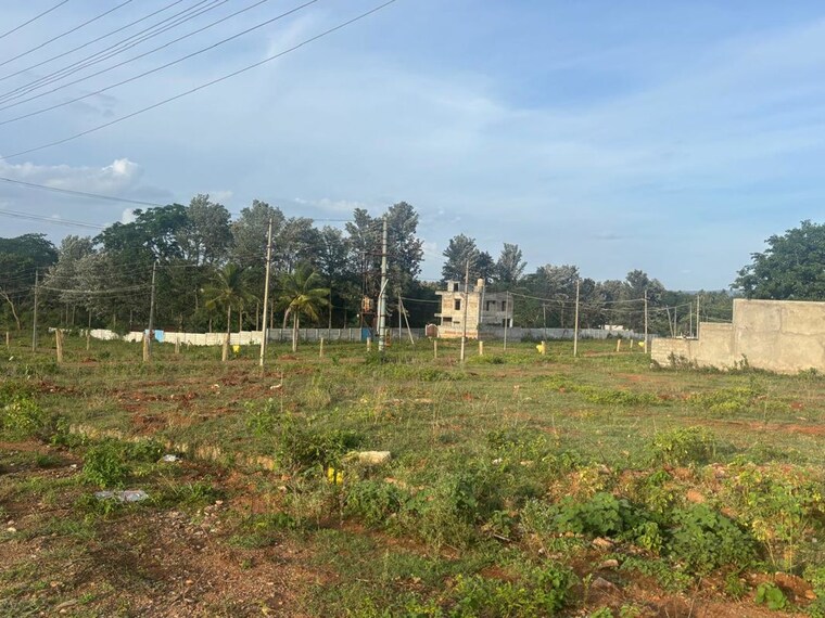 undefined, hsr layout  2400 Sq.Ft. Plot In Hsr Layout Bangalore 10673722