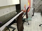 350 Sq.Ft. Office Space in Om Heera Panna Mall