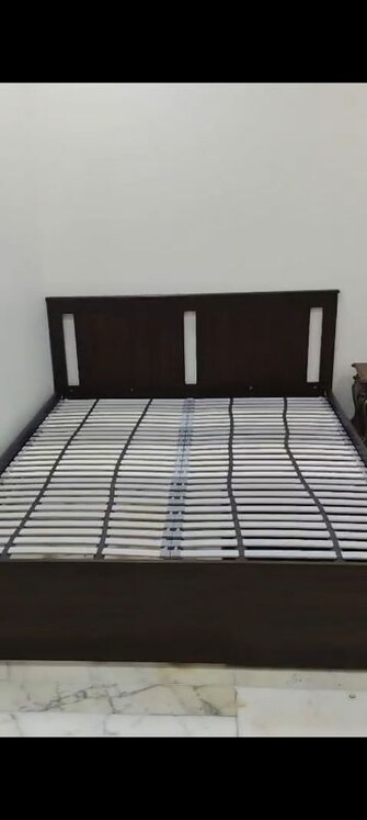 1 BHK +Apartment For Rent in Vinod Mahal in Worli, Mumbai