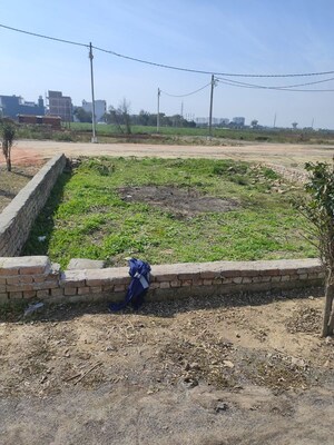Plot Area in  Plot at Sadarpur – for Sale