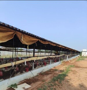 Plot Area in  Plot at Shamshabad – for Sale