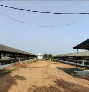 Plot Area in  Plot at Shamshabad – for Sale