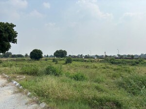 Plot Area in  Plot at Sector 75 – for Sale