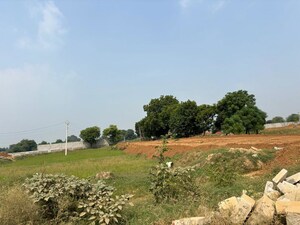 Plot Area in  Plot at Sector 75 – for Sale