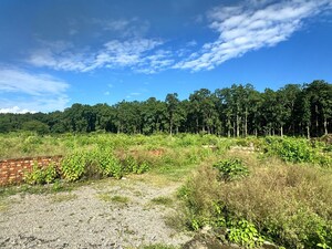 Plot Area in  Plot at Sudhowala – for Sale