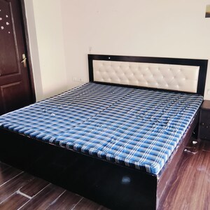2 BHK Apartment For Rent in Amrapali Silicon City, Sector 76