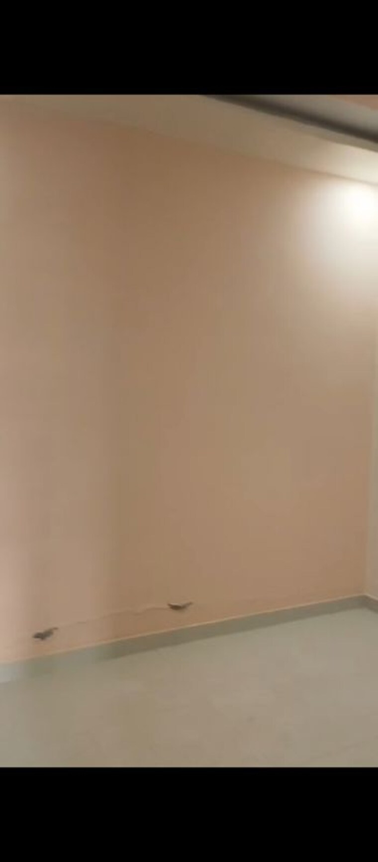 Room, mv-tower 2 Bedroom 900 Sq.Ft. Independent House In Jankipuram Lucknow 10678883