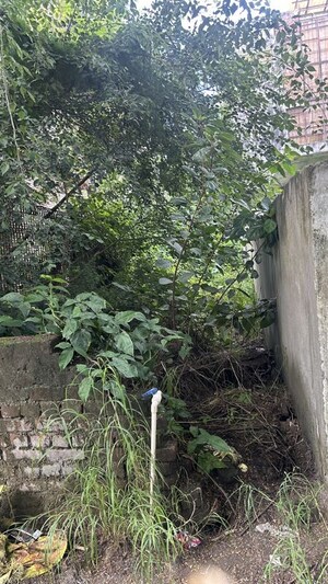 Plot Area in  Plot at Sector 100 – for Sale