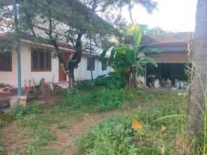 2 BHK Independent House – Exterior View View at Thiroor - for Sale