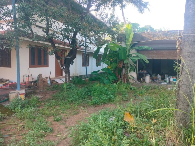 Exterior View, thiroor 2 Bedroom 1300 Sq.Ft. Independent House In Thiroor Thrissur 10679101