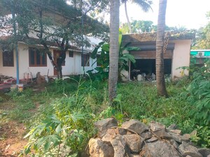 2 BHK Independent House – Exterior View View at Thiroor - for Sale