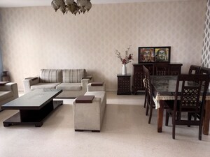 Living Room in 3 BHK Builder Floor at Sector 22 – for Rent