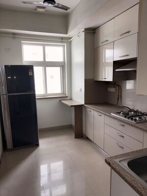 Kitchen in 3 BHK Builder Floor at Sector 22 – for Rent
