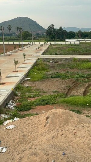 Plot Area in  Plot at Pathapadu – for Sale