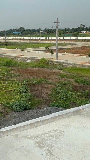 Plot Area in  Plot at Pathapadu – for Sale