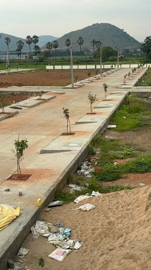 Plot Area in  Plot at Pathapadu – for Sale