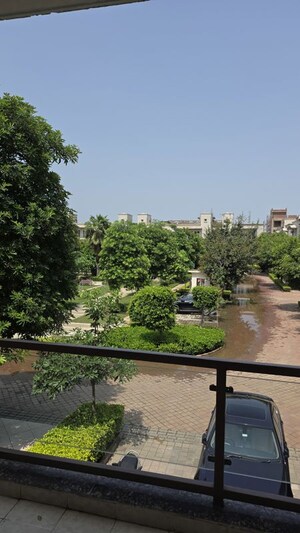 3 BHK Builder Floor For Sale in BPTP Amstoria, Sector 102
