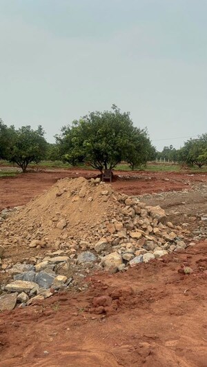 Plot Area in  Plot at Surampalli – for Sale