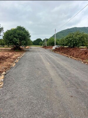 Plot Area in  Plot at Surampalli – for Sale