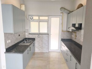 Kitchen in 3 BHK Builder Floor at Sector 22 – for Rent