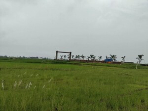 Plot Area in  Plot at Kanke – for Sale