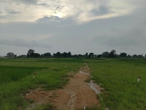 Plot Area in  Plot at Kanke – for Sale